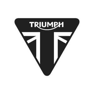 2007 Triumph Thunderbird